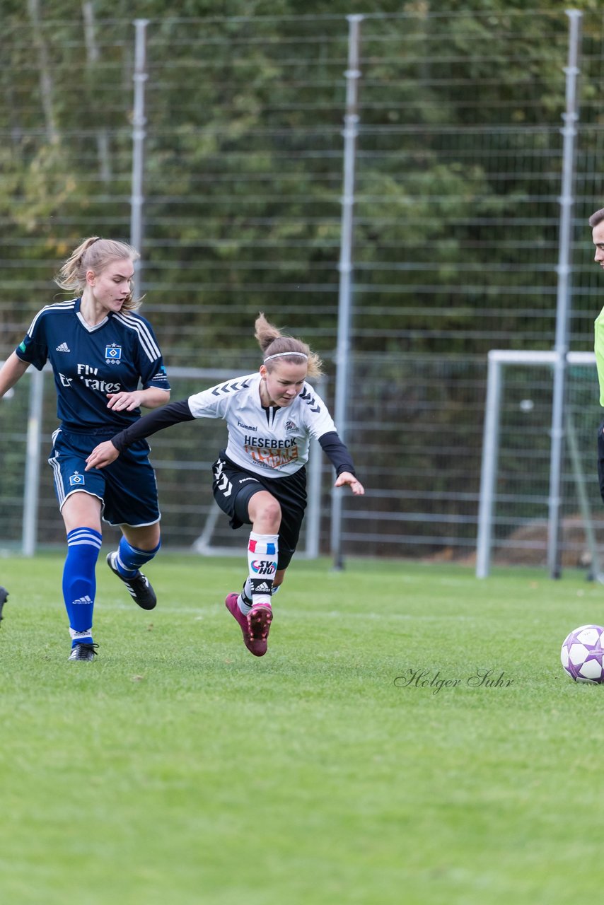 Bild 101 - B-Juniorinnen SV Henstedt Ulzburg - Hamburger SV : Ergebnis: 2:3